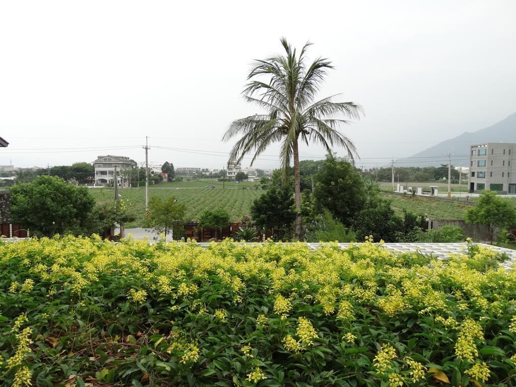 花蓮 達芙妮花園民宿 จี๋อัน ภายนอก รูปภาพ
